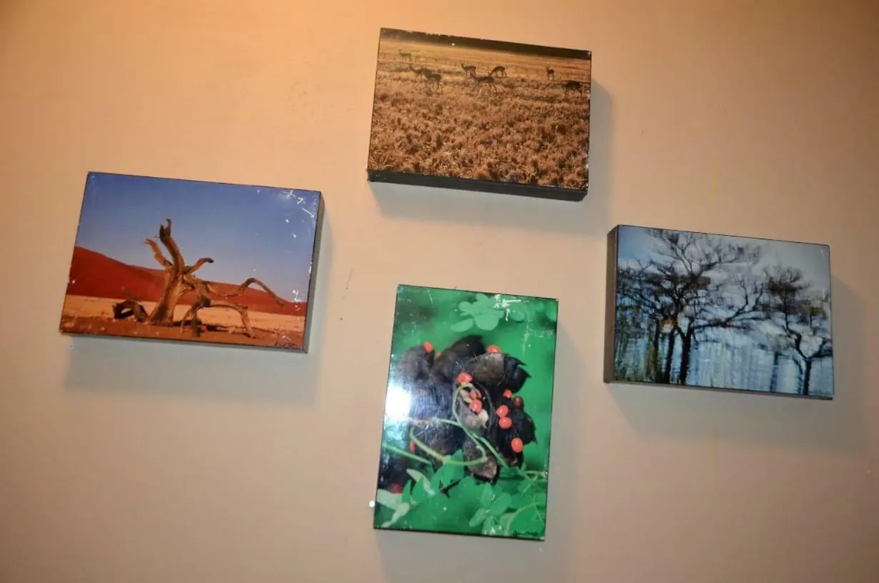 St@Y-1-Bnb Κέιπ Τάουν Bed and Breakfast